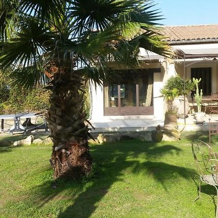 Bed and Breakfast Provence Carpentras Exterior foto